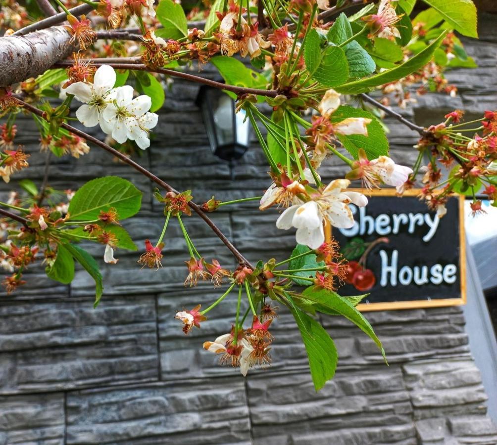 Cherry House Kazbegi Exterior photo
