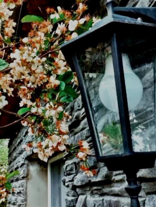 Cherry House Kazbegi Exterior photo